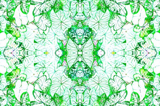 抽象花卉印花华亿平台图片