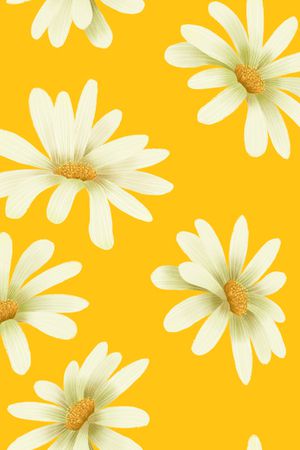 休闲印花华亿平台图片