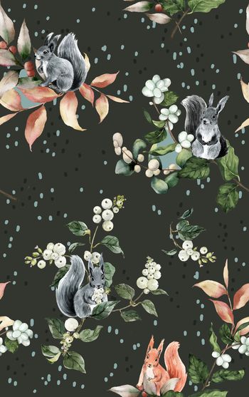 1233593-190714松鼠浆果