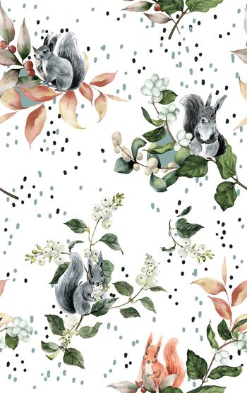 1233594-190714松鼠浆果白色