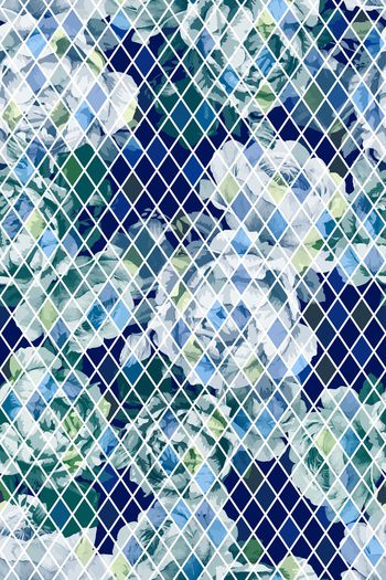 1233653-2019-07-14-A1--u