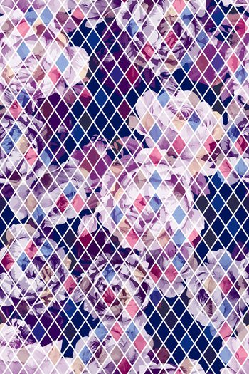 1233654-2019-07-14-B1