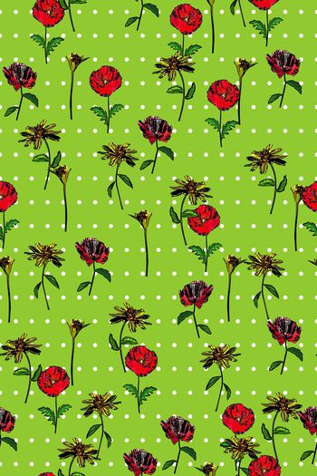 1233779-莱艾眸邹