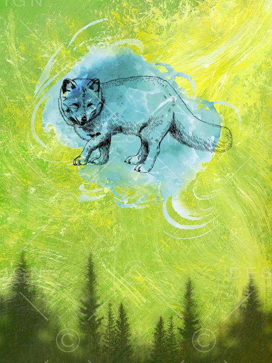 动物头印花华亿平台图片