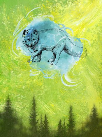 动物头印花华亿平台图片