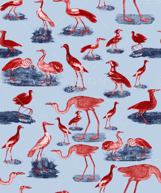 植物印花华亿平台图片