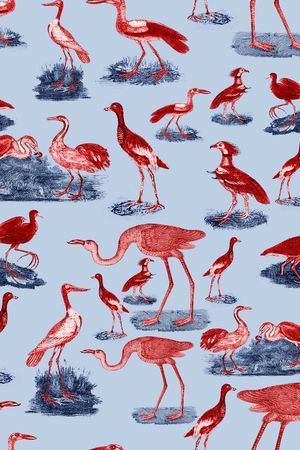 植物印花华亿平台图片