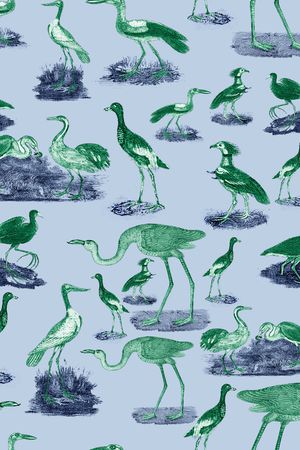 水果印花华亿平台图片