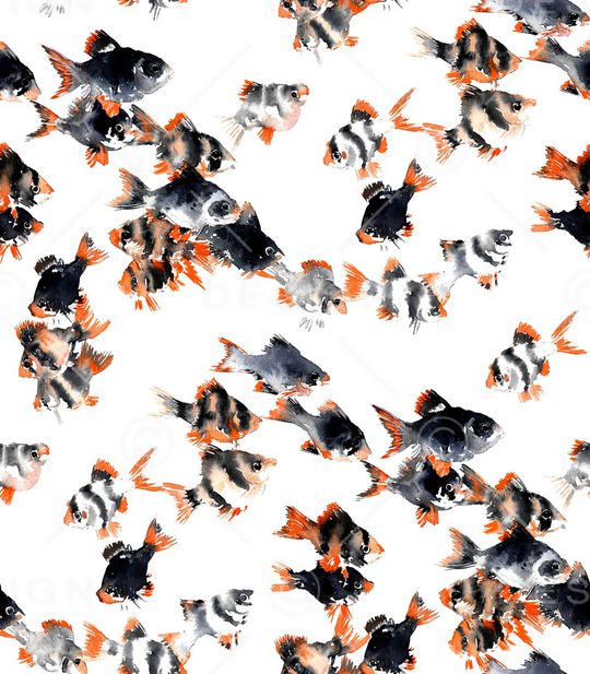 热带鱼印花华亿平台图片