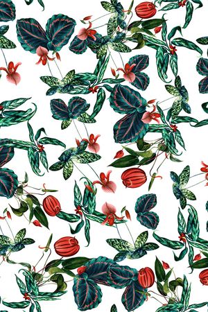 水果印花华亿平台图片