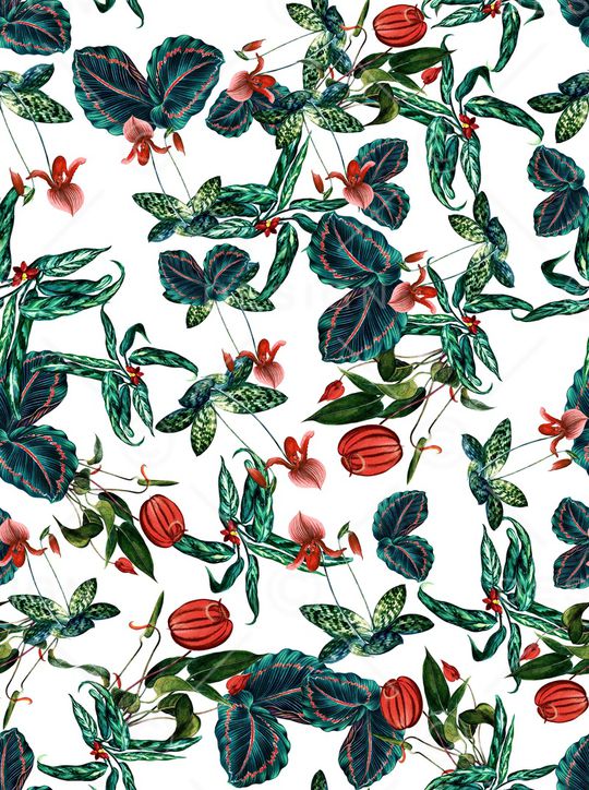 水果印花华亿平台图片