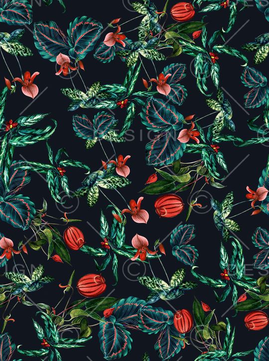 无花果印花华亿平台图片