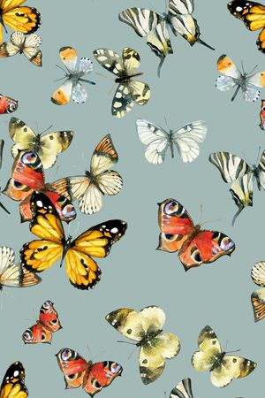 鸟/昆虫印花华亿平台图片