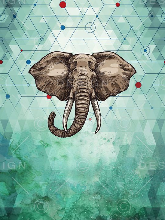 时尚印花华亿平台图片