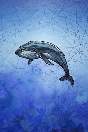 时尚印花华亿平台图片