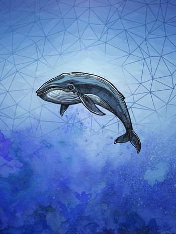 时尚印花华亿平台图片