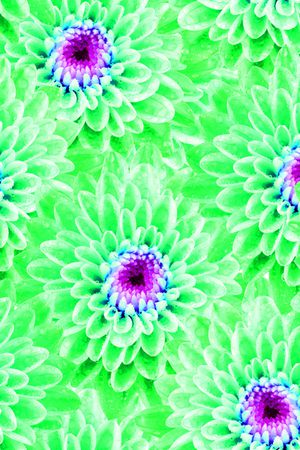 菊花印花华亿平台图片