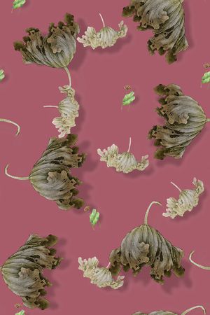 绿植树叶印花华亿平台图片