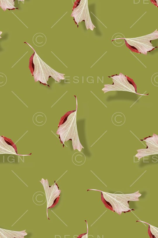 绿植树叶印花华亿平台图片