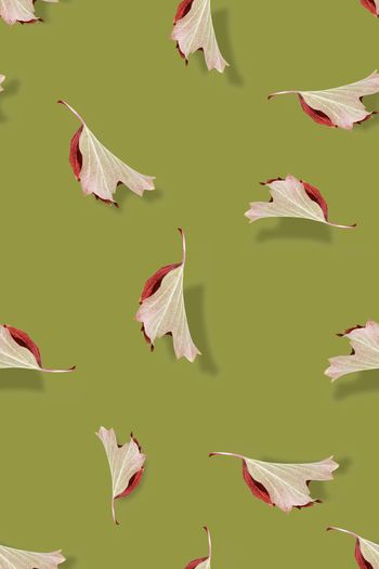 绿植树叶印花华亿平台图片