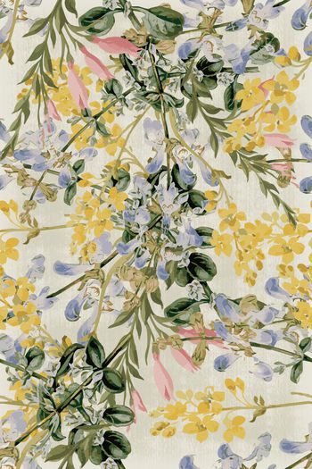 彩底花卉印花华亿平台图片