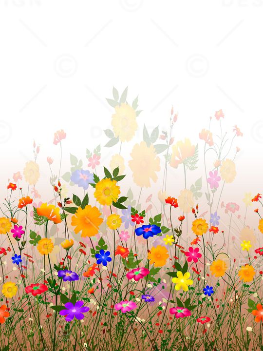 绿植树叶印花华亿平台图片