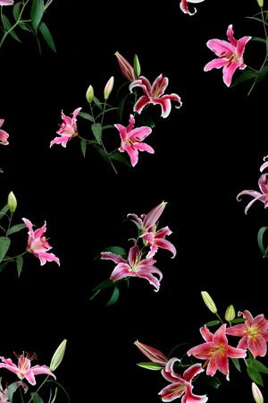 植物印花华亿平台图片