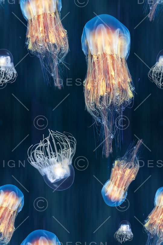 海洋印花华亿平台图片