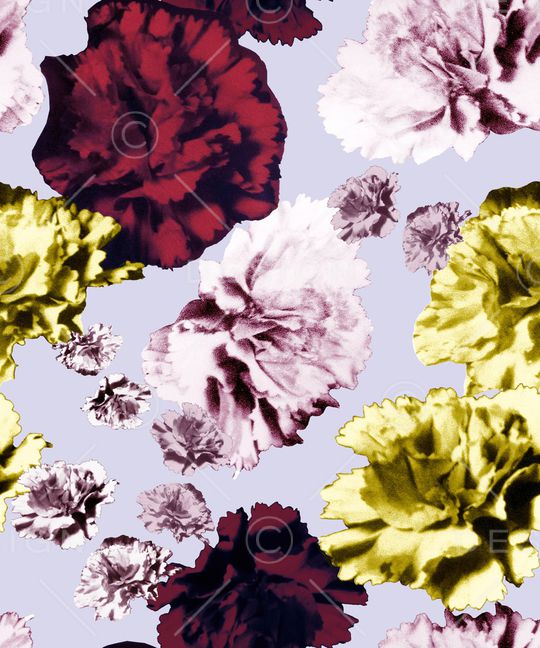 康乃馨印花华亿平台图片