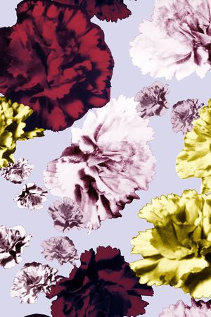 康乃馨印花华亿平台图片