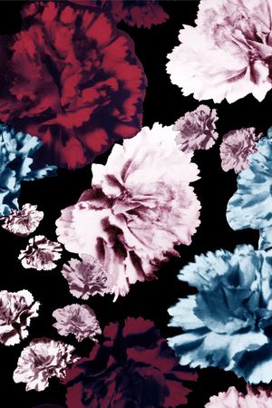 康乃馨印花华亿平台图片