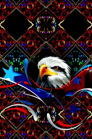 老鹰印花华亿平台图片