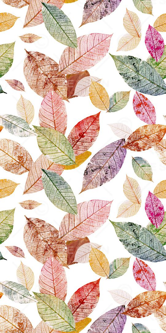 女装印花华亿平台图片