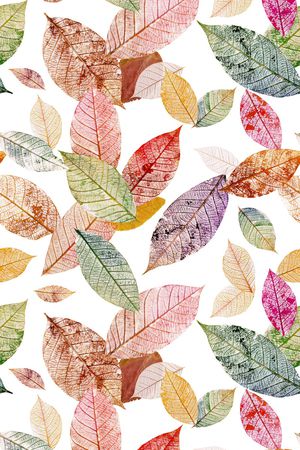 女装印花华亿平台图片