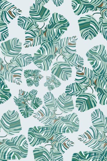 1238700-190806-syyh-3-2