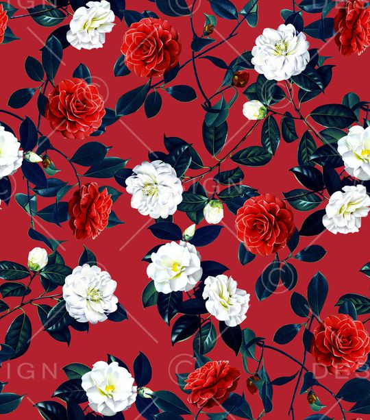 樱桃印花华亿平台图片