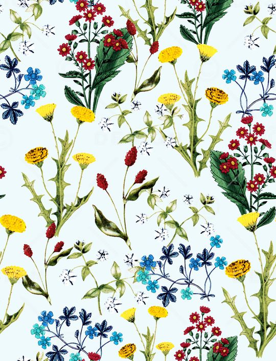 樱桃印花华亿平台图片