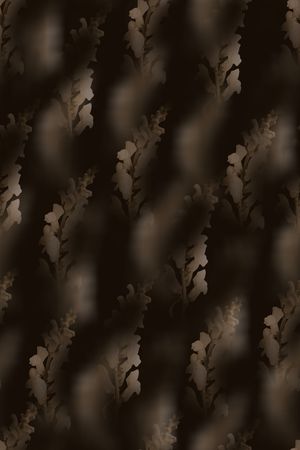 欧美印花华亿平台图片