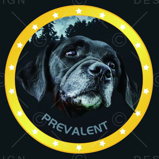 狗印花华亿平台图片