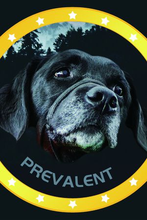 狗印花华亿平台图片