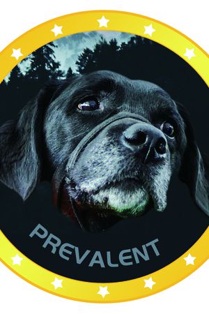 狗印花华亿平台图片