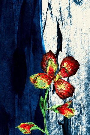 泼墨印花华亿平台图片