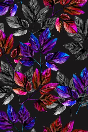 女装印花华亿平台图片