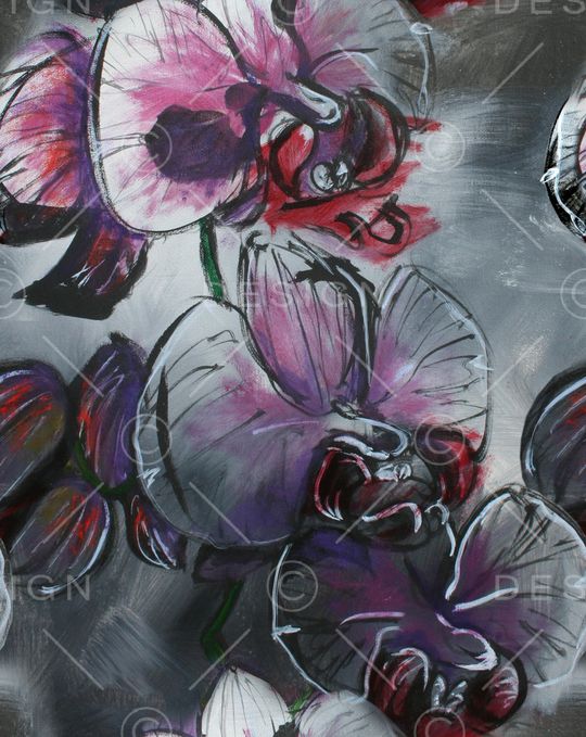 蝴蝶兰印花华亿平台图片