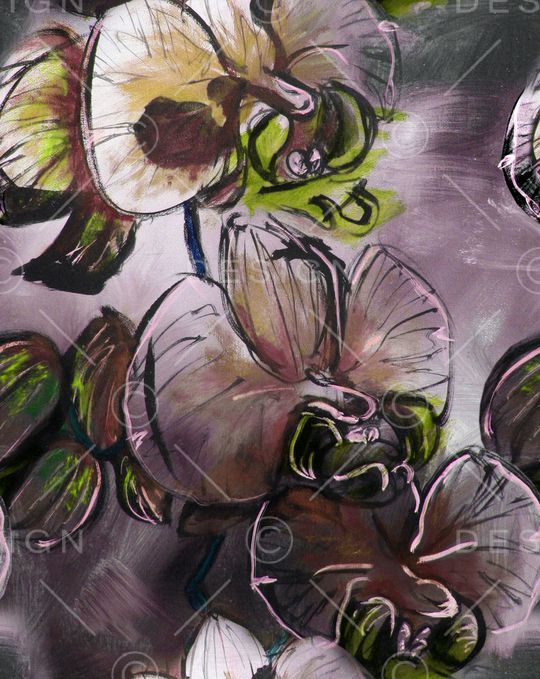 蝴蝶兰印花华亿平台图片