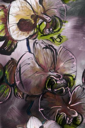 蝴蝶兰印花华亿平台图片