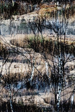 配饰印花华亿平台图片