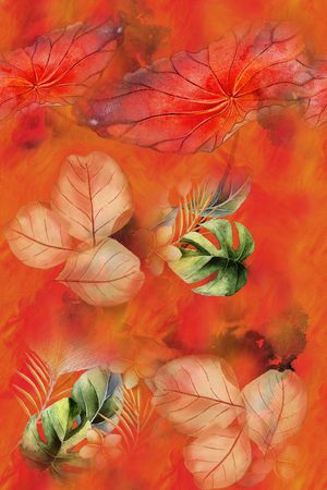 女装印花华亿平台图片