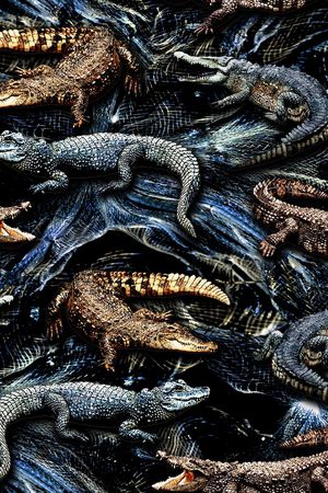 老虎印花华亿平台图片