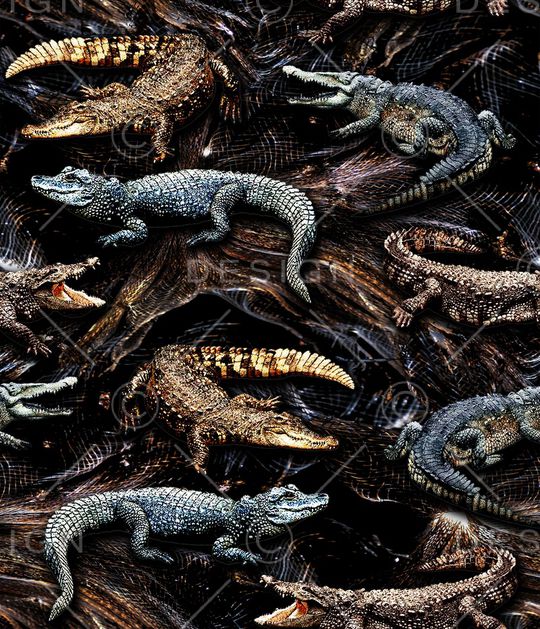 老虎印花华亿平台图片